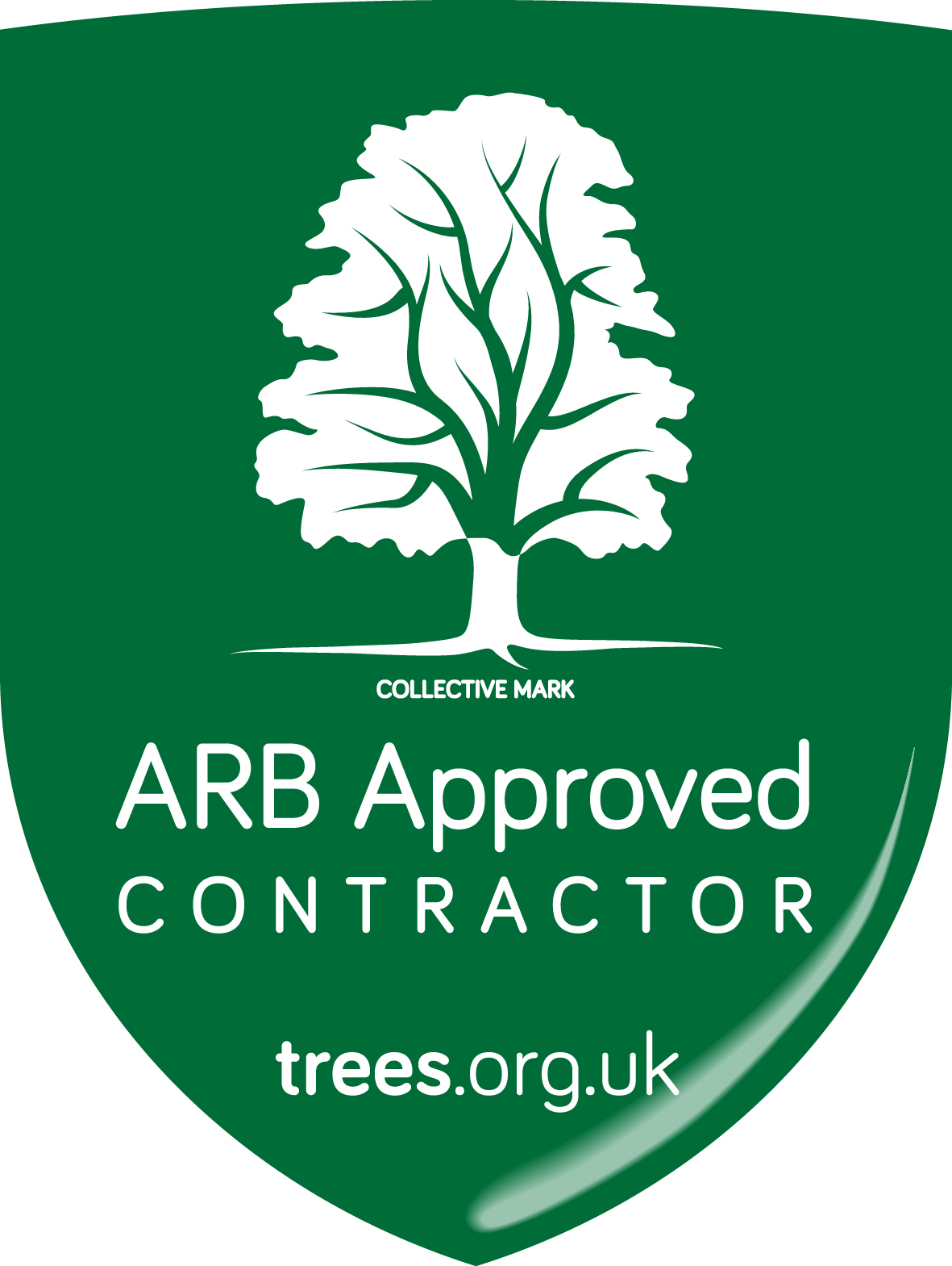 Tree Surgeons in Haslemere
